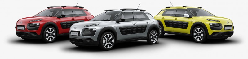 NOUVEAU C4 CACTUS